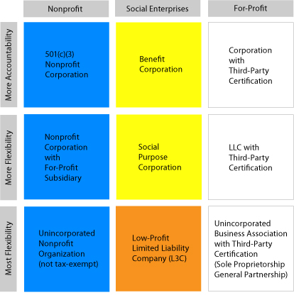 Social Enterprise Entity Choice Infographic